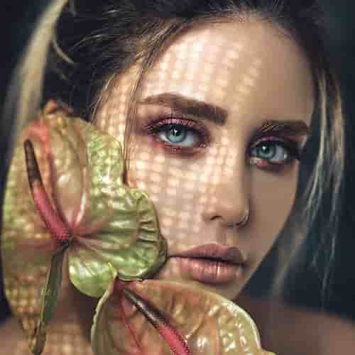 image-gallery-01 (1)